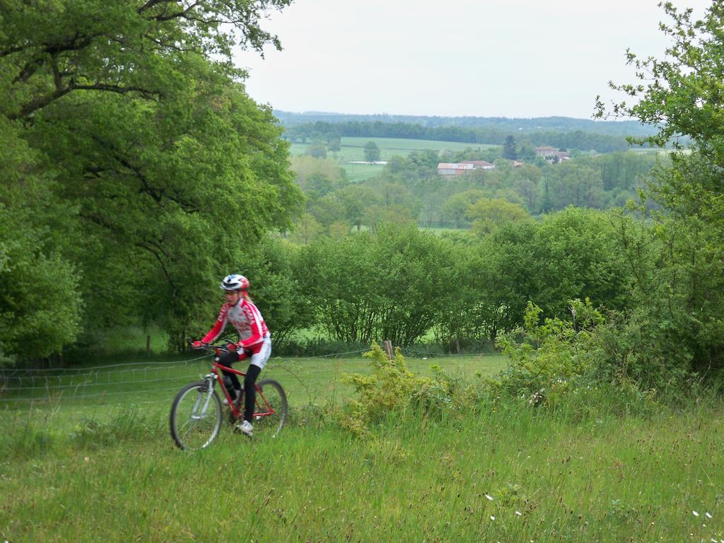 Saint-Germain-de-ConfolensLe Petit Mas D'Ile住宿加早餐旅馆 外观 照片